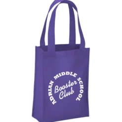 Payson Mini Tote - 12 inches x 9 inches
