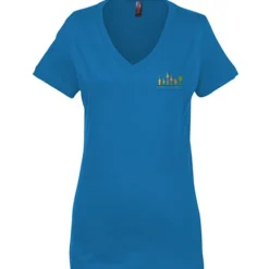 Perfect Weight V-Neck Tee - Ladies' - Embroidered