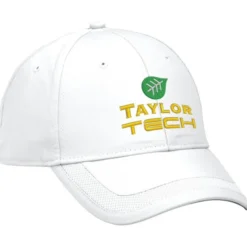 Performance Mesh Stripe Cap