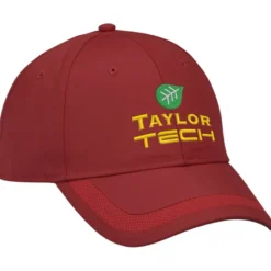 Performance Mesh Stripe Cap