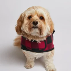 Pet Microfleece Jacket
