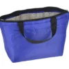 Peyton Lunch Cooler