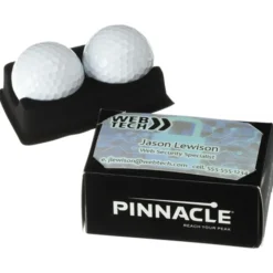 Pinnacle Distance 2 Ball Business Card Box