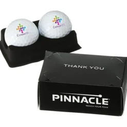 Pinnacle Distance 2 Ball Business Card Box
