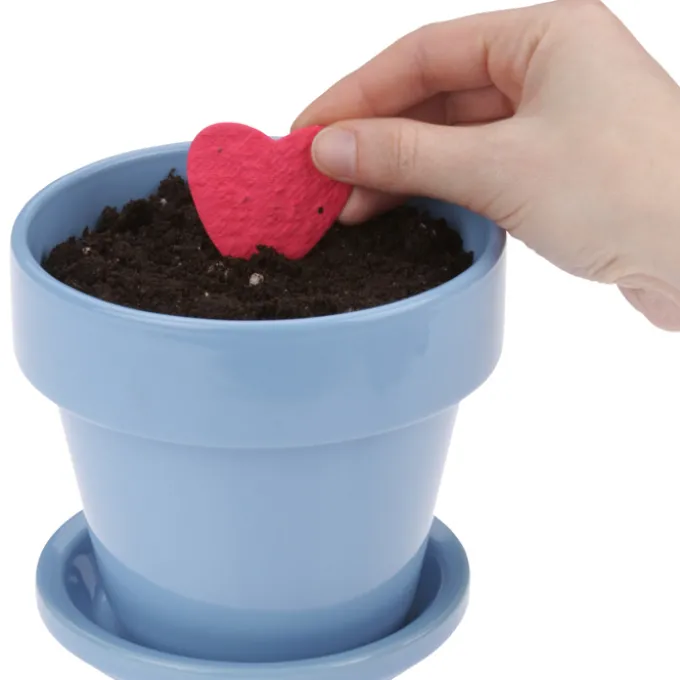Plant-A-Shape Flower Seed Bookmark - Butterfly - 24 hr