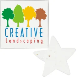 Plant-A-Shape Flower Seed Packet - Star