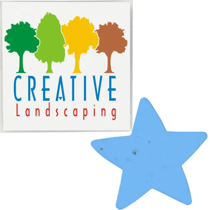 Plant-A-Shape Flower Seed Packet - Star