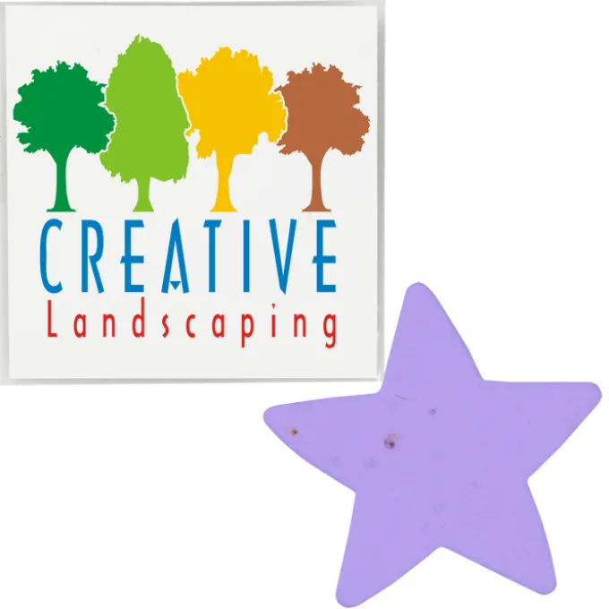 Plant-A-Shape Flower Seed Packet - Star