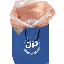 Polypropylene Gift Bag
