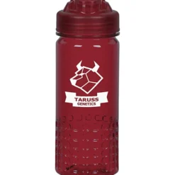 PolySure Out of the Block Water Bottle with Flip Lid - 16 oz