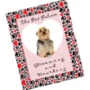 Pop Out Picture Frame Magnet - Heart