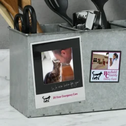 Pop Out Picture Frame Magnet - Instant Print