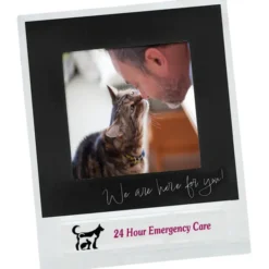 Pop Out Picture Frame Magnet - Instant Print