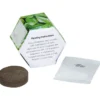 Pop Up Planter Kit - Basil