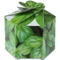 Pop Up Planter Kit - Basil
