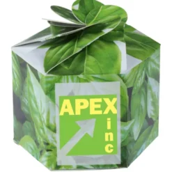 Pop Up Planter Kit - Basil