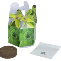 Pop Up Planter Kit - Basil