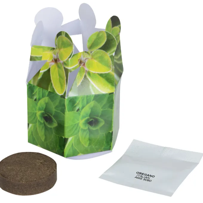 Pop Up Planter Kit - Basil