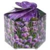 Pop Up Planter Kit - Chives