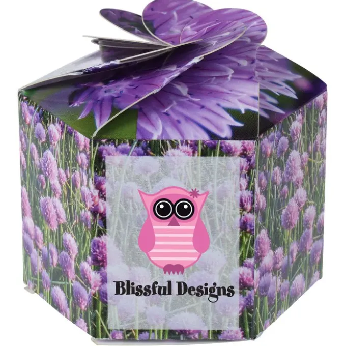 Pop Up Planter Kit - Chives