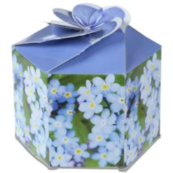 Pop Up Planter Kit - Forget Me Not