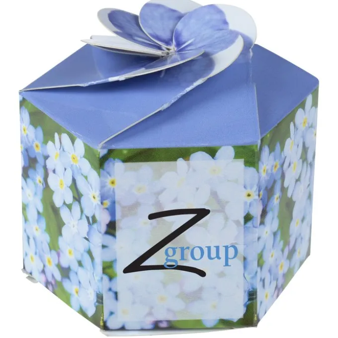 Pop Up Planter Kit - Forget Me Not