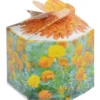 Pop Up Planter Kit - Marigold