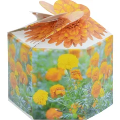 Pop Up Planter Kit - Marigold