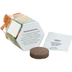 Pop Up Planter Kit - Marigold