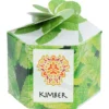 Pop Up Planter Kit - Mint