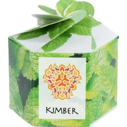 Pop Up Planter Kit - Mint