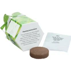 Pop Up Planter Kit - Mint