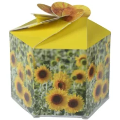 Pop Up Planter Kit - Sunflower
