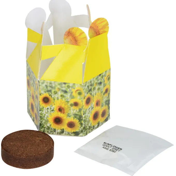 Pop Up Planter Kit - Sunflower
