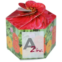 Pop Up Planter Kit - Zinnia