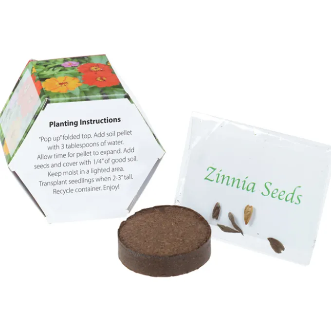 Pop Up Planter Kit - Zinnia