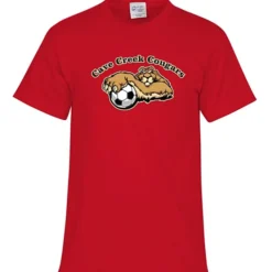 Port 50/50 Blend T-shirt - Men's - Full Color - 24 hr