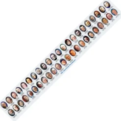 Presidential Ruler