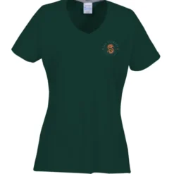 Principle Performance Blend Ladies' V-Neck T-Shirt - Embroidered