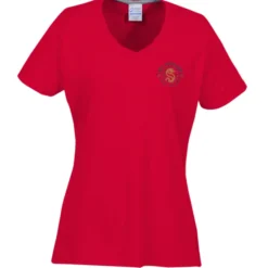 Principle Performance Blend Ladies' V-Neck T-Shirt - Embroidered