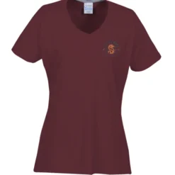 Principle Performance Blend Ladies' V-Neck T-Shirt - Embroidered