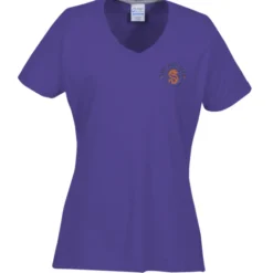 Principle Performance Blend Ladies' V-Neck T-Shirt - Embroidered