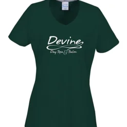 Principle Performance Blend Ladies' V-Neck T-Shirt