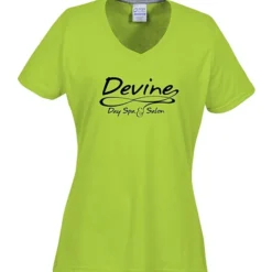 Principle Performance Blend Ladies' V-Neck T-Shirt