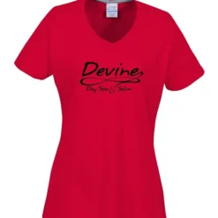 Principle Performance Blend Ladies' V-Neck T-Shirt