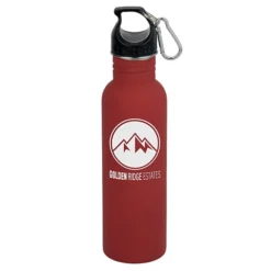 Quest Halcyon Stainless Bottle - 25 oz