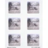 Quick & Colorful Perforated Sheeted Label - Square 2-1/2 inches x 2-1/2 inches