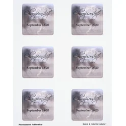 Quick & Colorful Perforated Sheeted Label - Square 2-1/2 inches x 2-1/2 inches