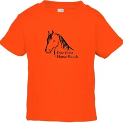 Rabbit Skins Jersey T-Shirt - Toddler - Colors