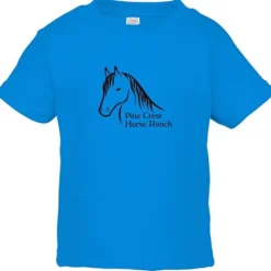 Rabbit Skins Jersey T-Shirt - Toddler - Colors